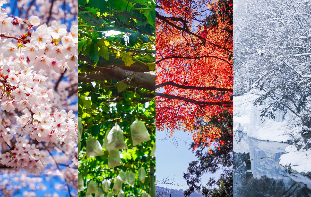 1730894242454270.jpg 52404.jpg